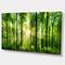 Designart - Forest with Rays of Sun Panorama - Landscape Art Print Canvas